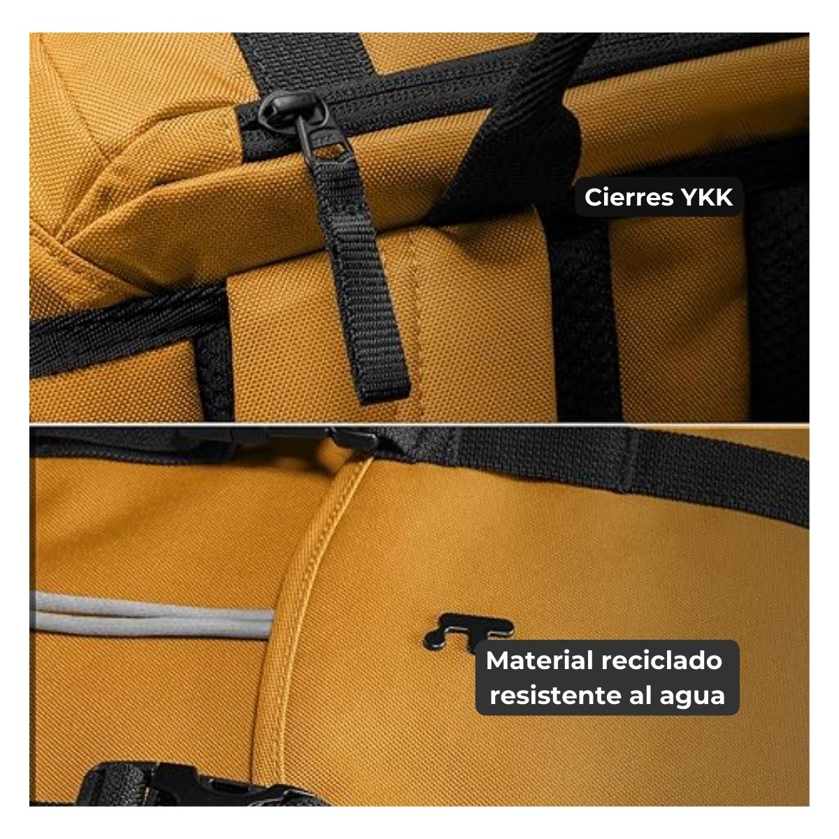 #color_amarillo fuerte
